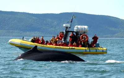 Découvrez les Principales Attractions Touristiques de Charlevoix